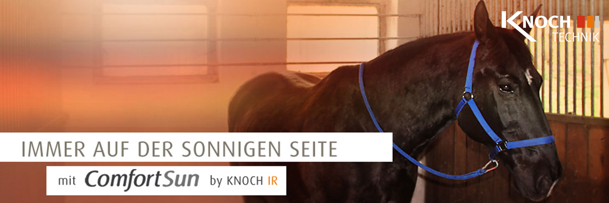 Infrarotstrahler für den Reitsport und die Tierzucht Infrarotstrahler für den Reitsport und die Tierzucht