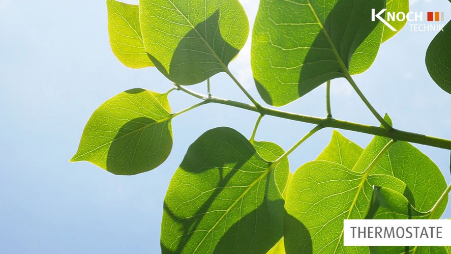 CS_zubehoer_thermostate_0x500